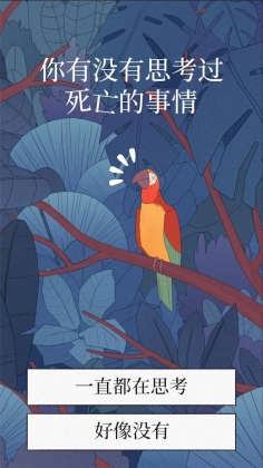 孤独的鸟儿2023游戏