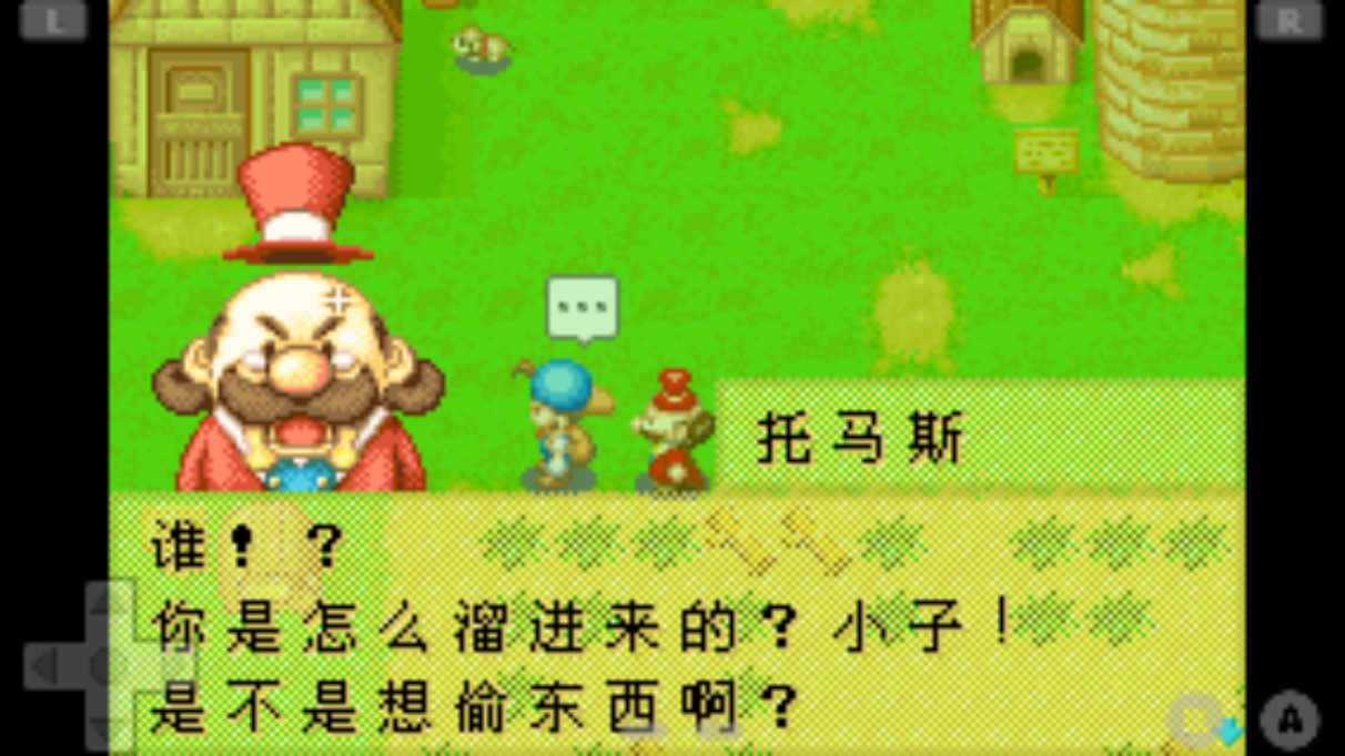 牧场物语矿石镇游戏