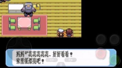 口袋妖怪红宝石金手指游戏