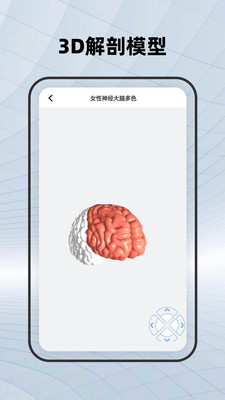 骨骼APP