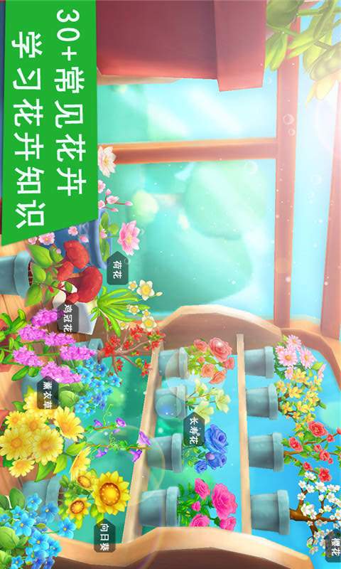 花花世界游戏