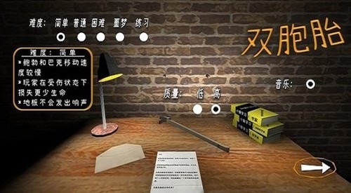 惊魂双胞胎游戏