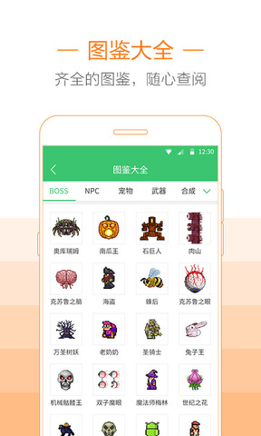 泰拉瑞亚助手手机版APP