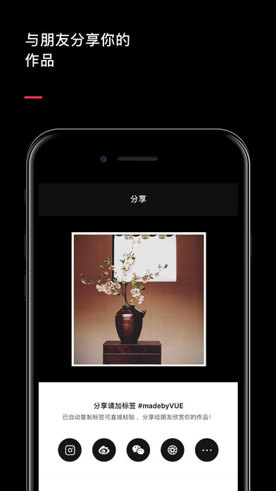 VUE软件APP