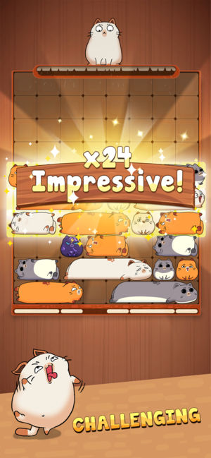 猫咪滑块游戏