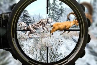 野生猎人狙击手游戏