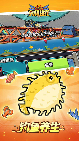 精灵究极进化游戏