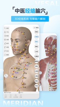 维萨里3D解剖APP