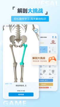 维萨里3D解剖APP