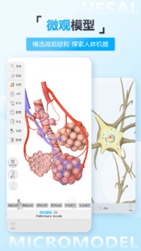 维萨里3D解剖APP
