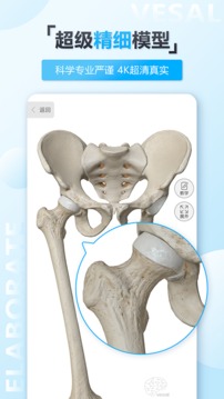 维萨里3D解剖APP