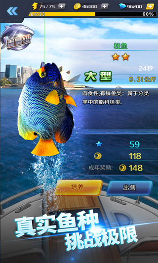 啪啪钓鱼游戏