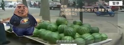 勇士冒险日记瓜摊惊魂游戏