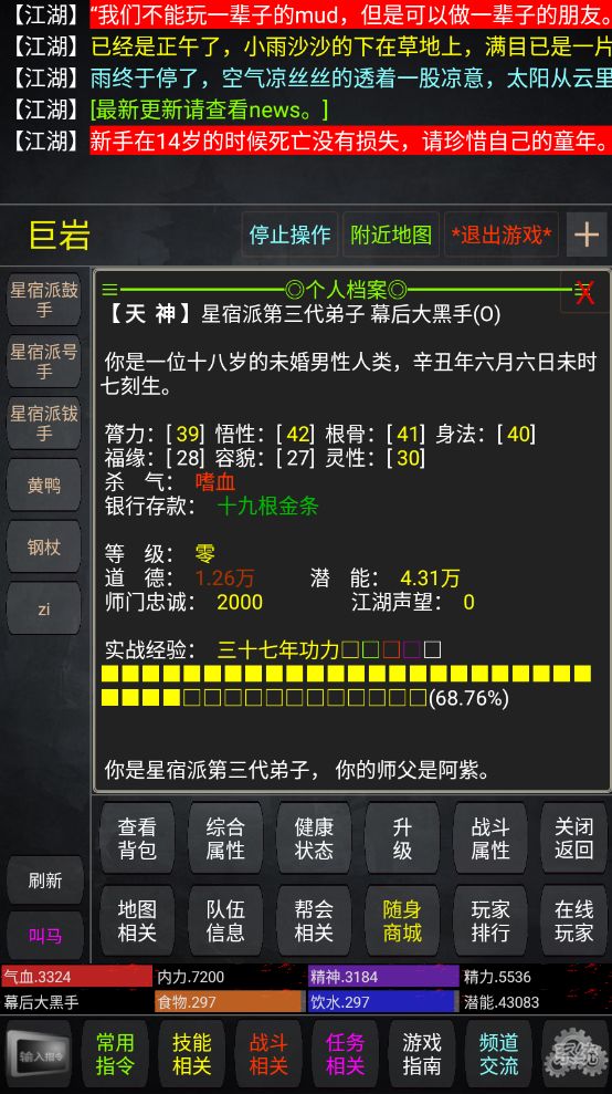 极武传游戏