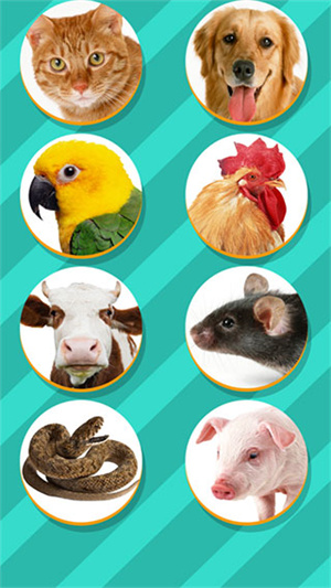 PetTranslatorAPP
