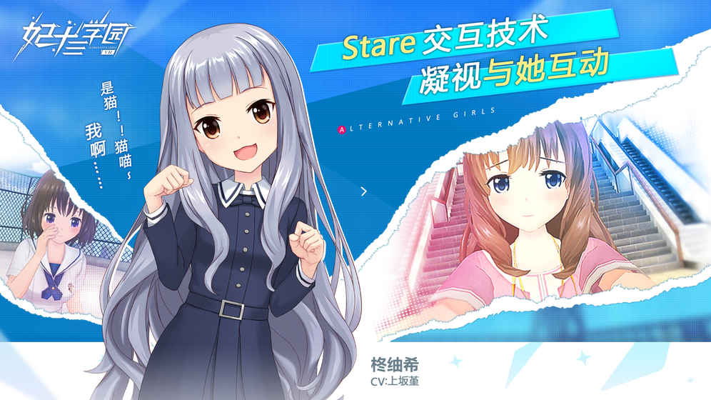 妃十三学园游戏