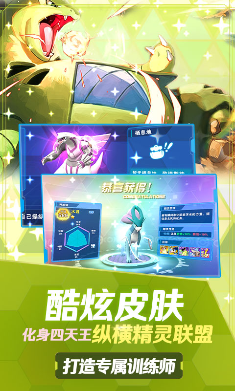 口袋高手究极进化游戏