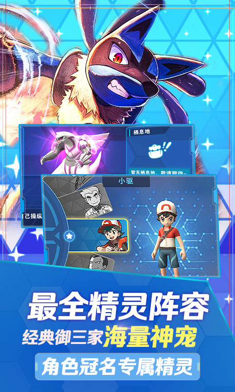 口袋高手究极进化游戏