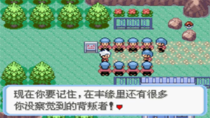 口袋妖怪蛇纹木游戏