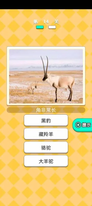 动物研究院游戏游戏