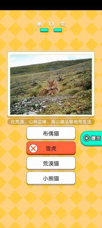 动物研究院游戏游戏
