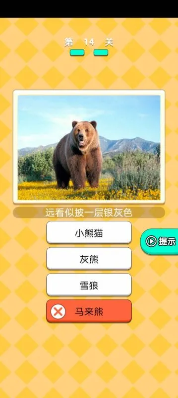 动物研究院游戏游戏