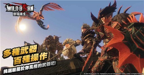 野境重生游戏