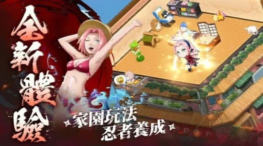 忍者传说新世代游戏