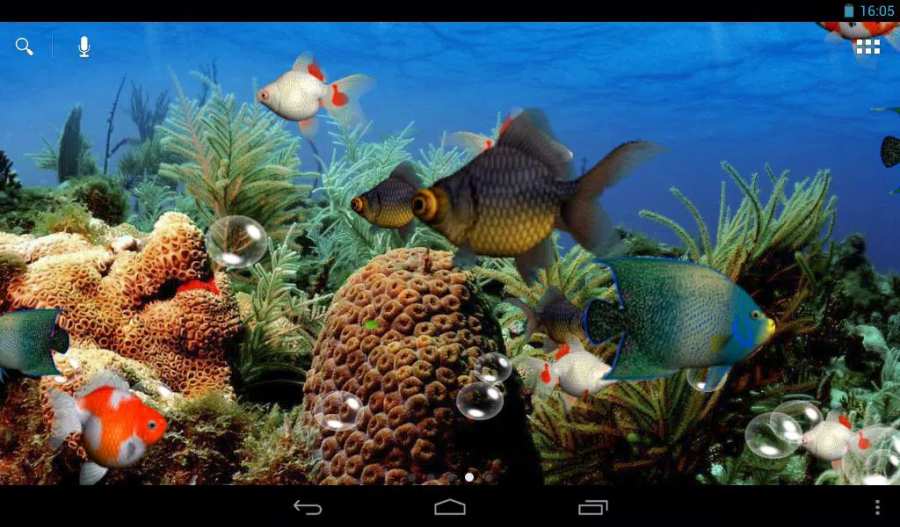 水族馆3D游戏