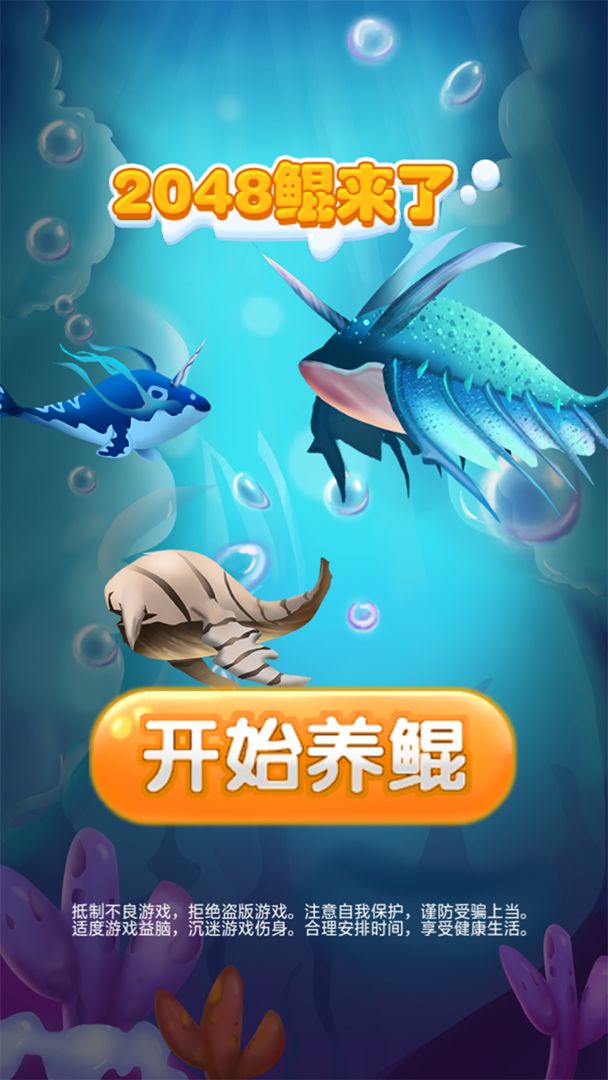 2048鲲来了游戏游戏