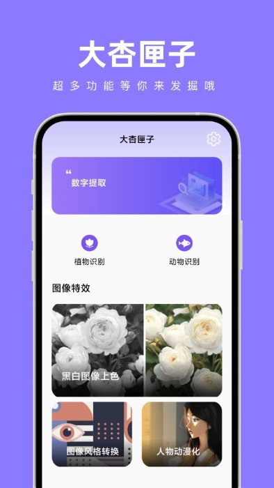 大杏匣子APP