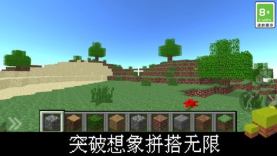 我的立方世界游戏