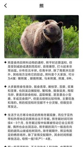 最强动物园游戏