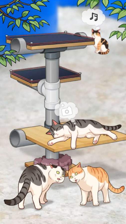 Haha渔场猫咪游戏
