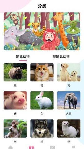 最强动物园游戏