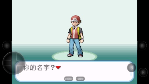 口袋妖怪暗之冰花中文版游戏