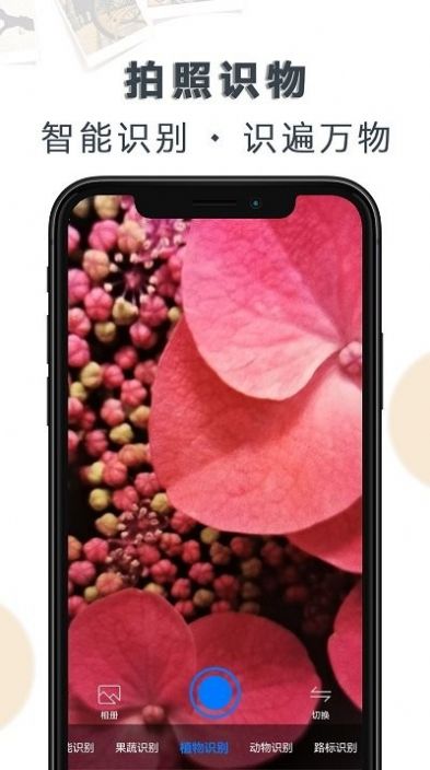 豆拍拍照识物APP