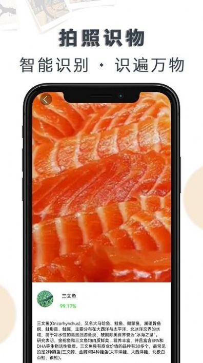 豆拍拍照识物APP