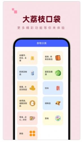大荔枝口袋APP