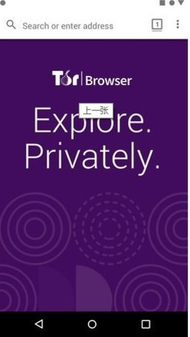 TorBrowserAPP