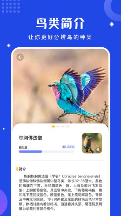 鸟语语言翻译器APP