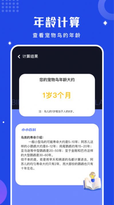 鸟语语言翻译器APP