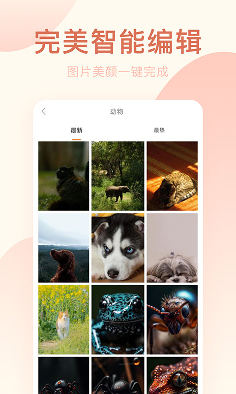 激甜相机APP