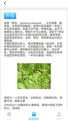 口袋菜农游戏