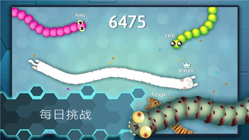 贪食蛇王大作战游戏