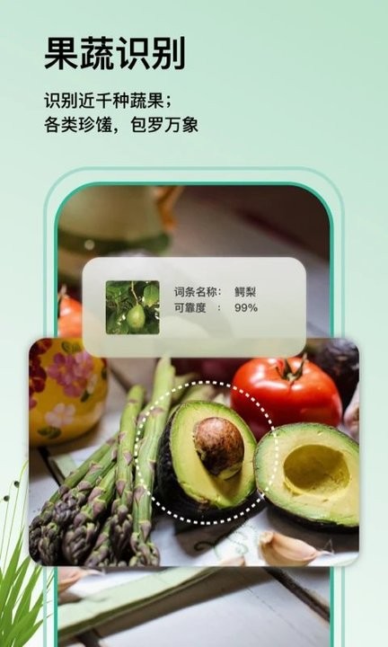 植物大师APP