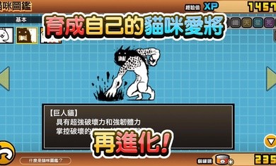 猫咪大战争全猫三阶游戏