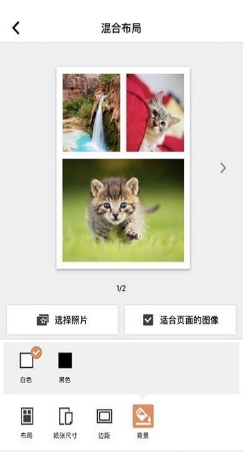 canonselphyphotolayoutAPP