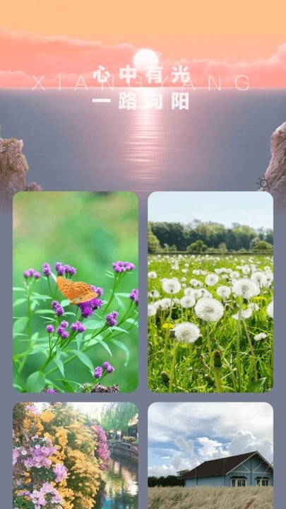阳光充电APP