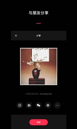 VUE手机版APP